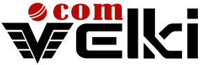 Velki Agent Main Logo